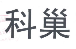 知识产权代理的专业守护者 北京科巢知识产权代理有限责任公司
